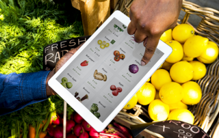 Food purchasing - single versus multi-supplier strategies